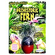 Prehistoric Fern Micro Terrarium